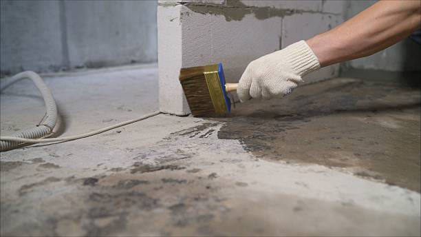 Trusted Waterproofing service in Newton, AL - SGP Waterproofing